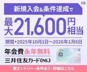 三井住友カード（NL）オーロラデザイン