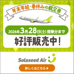 ソラシド エア 航空券販売