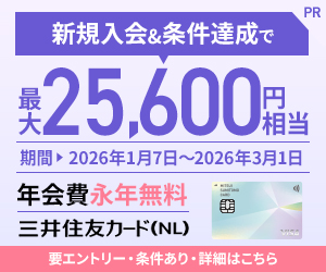 三井住友カード（NL）オーロラデザイン