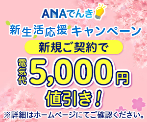ANAでんき【さらに電気代5,000円値引き＋最大1,000マイルプレゼント】