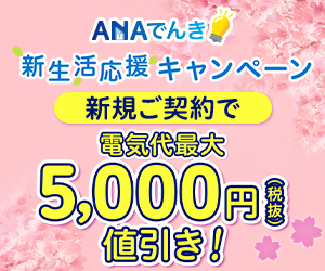 ANAでんき【さらに電気代5,000円値引き＋最大1,000マイルプレゼント】