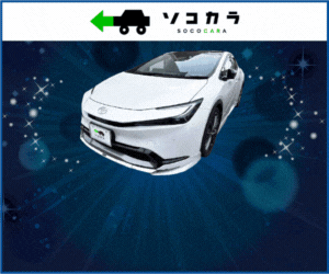 愛車の高価買取【車買取ソコカラ】