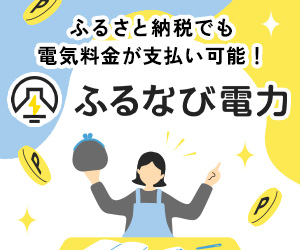 ふるなび電力