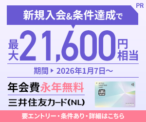 三井住友カード（NL）オーロラデザイン