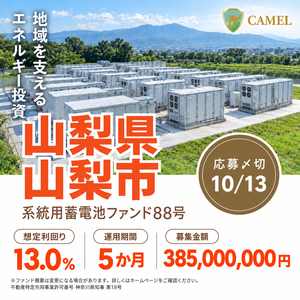 CAMEL（キャメル）【50万円以上の投資】