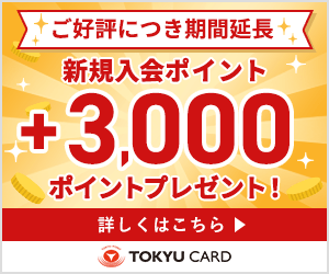新規カード発行後、2ヵ月以内に3,000円（税込）利用完了