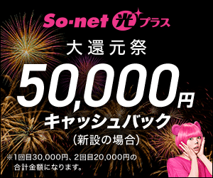 So-net 光 プラス