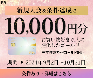 三井住友カード ゴールド（NL）オーロラデザイン