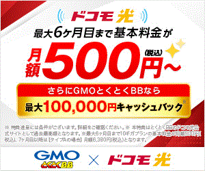 GMOとくとくBB ドコモ光（新規開通）